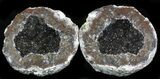 Whole Unopened Las Choyas Geodes - 3.5 to 3.75" - Photo 3